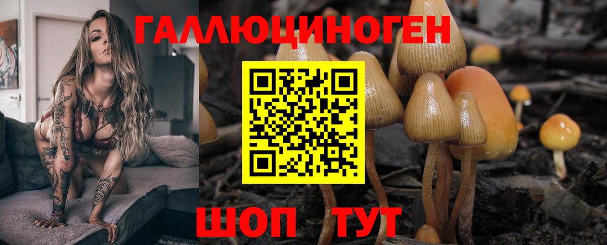 Галлюциногенные грибы ЛСД Майкоп