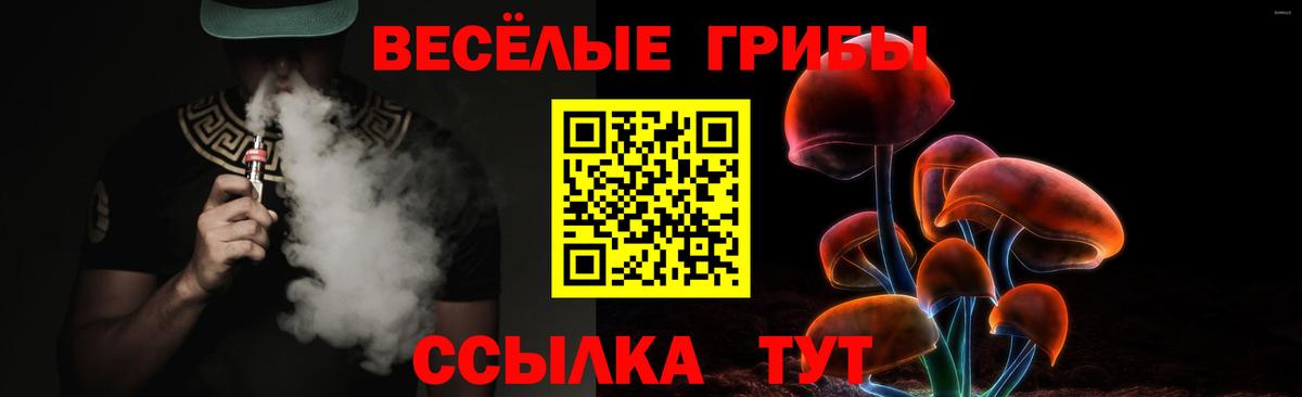 цена наркотик  Псилоцибиновые грибы MAGIC MUSHROOMS  Вход с VPN  Майкоп 